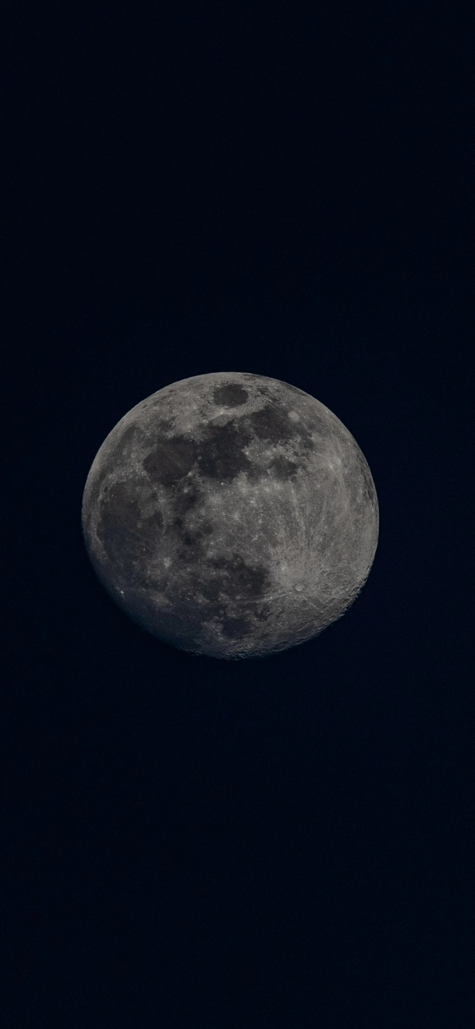 Detalhe de flora com bokeh natural (2)