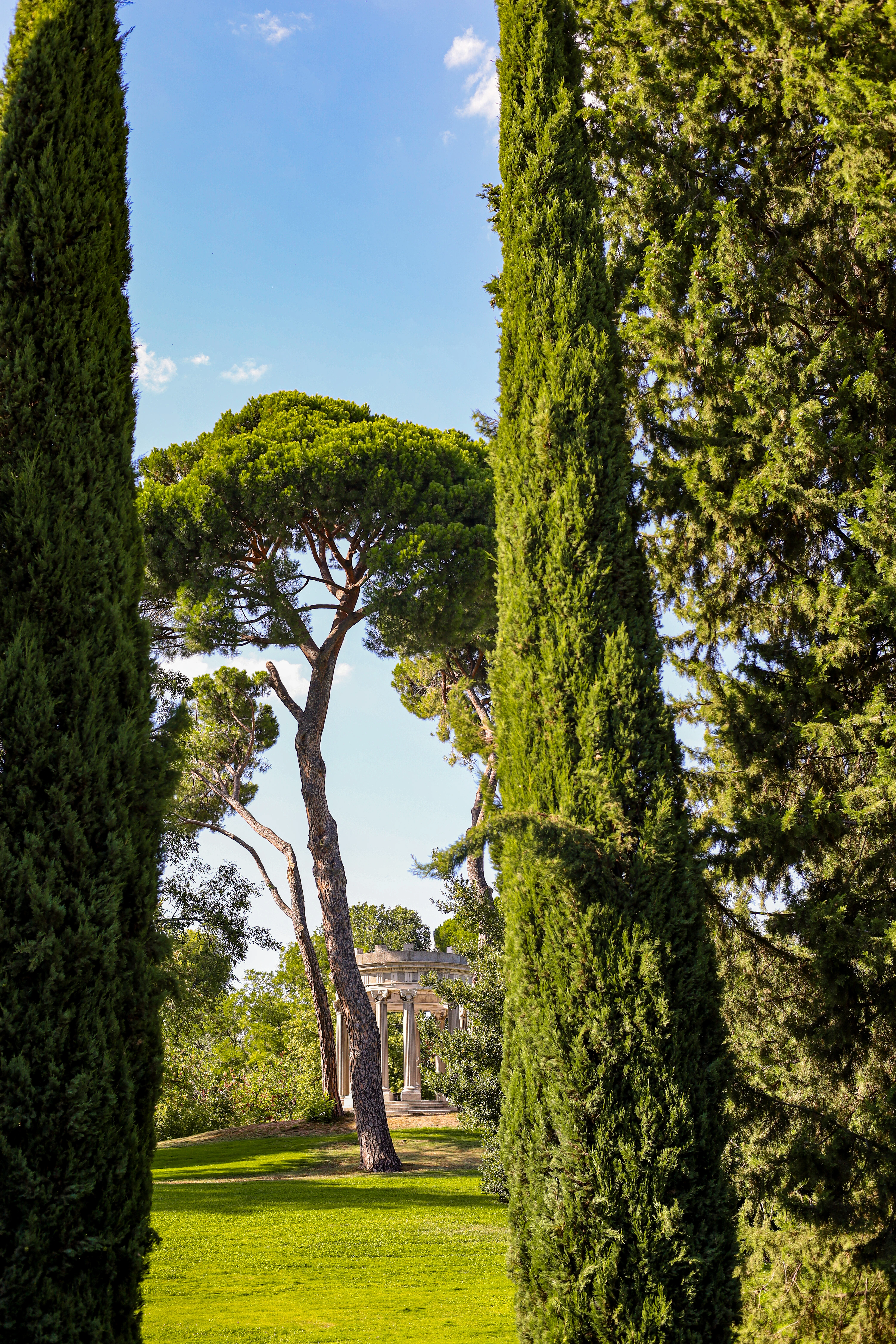 Horizonte natural ao pôr do sol (8)